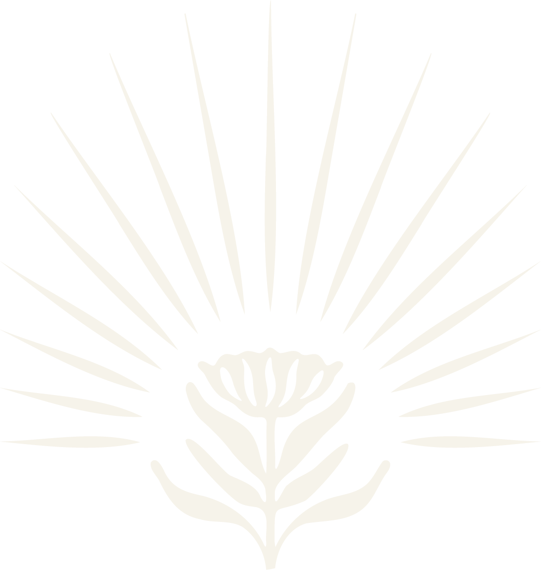 She Shines Again Logo